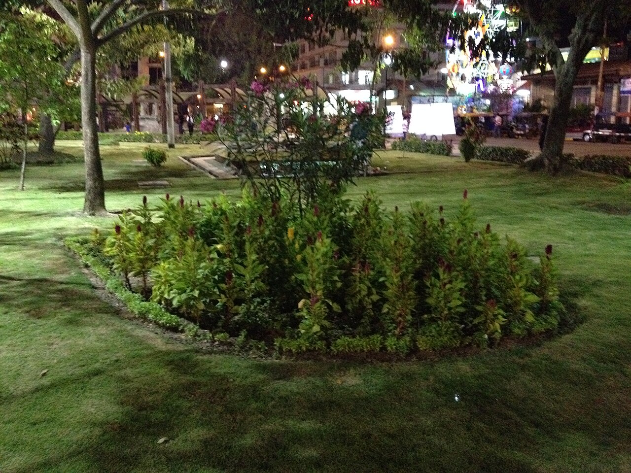 Foto de Plaza de Armas de Pucallpa (3)