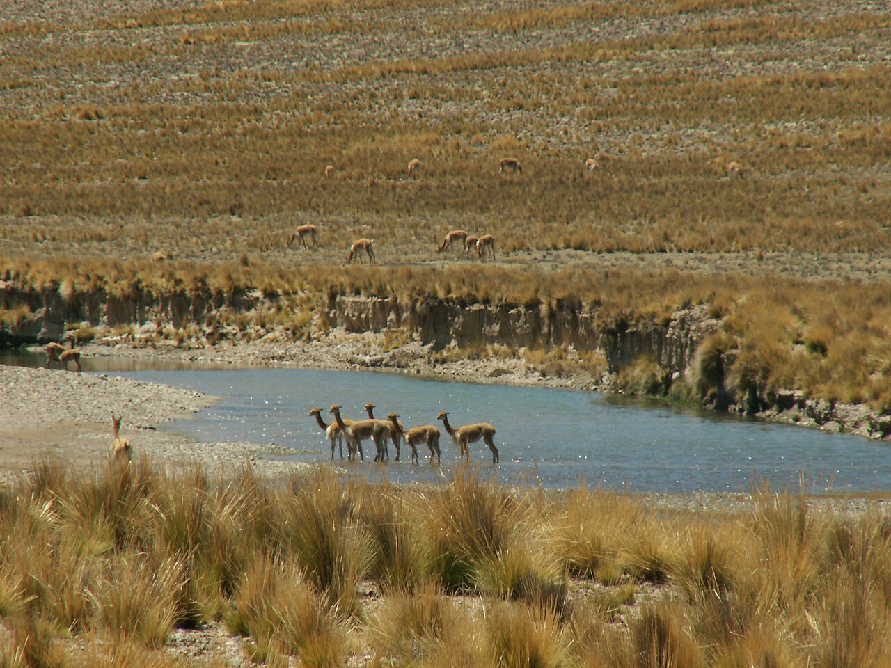 PE-30A: Nazca → Pampa Galeras