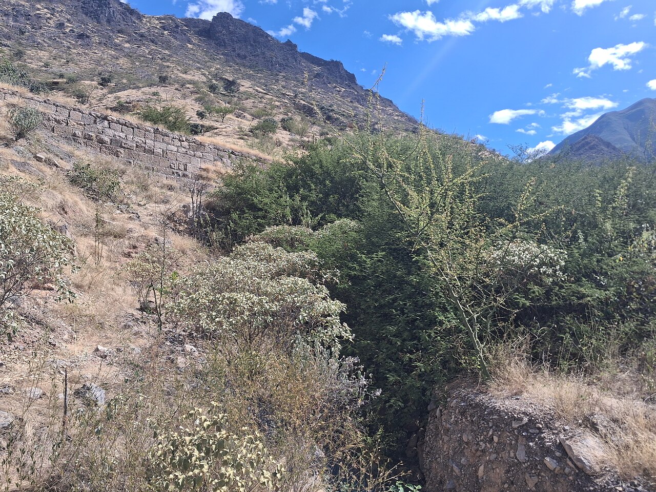 Foto de Celendín → Leymebamba por Balsas y el Marañón (3)