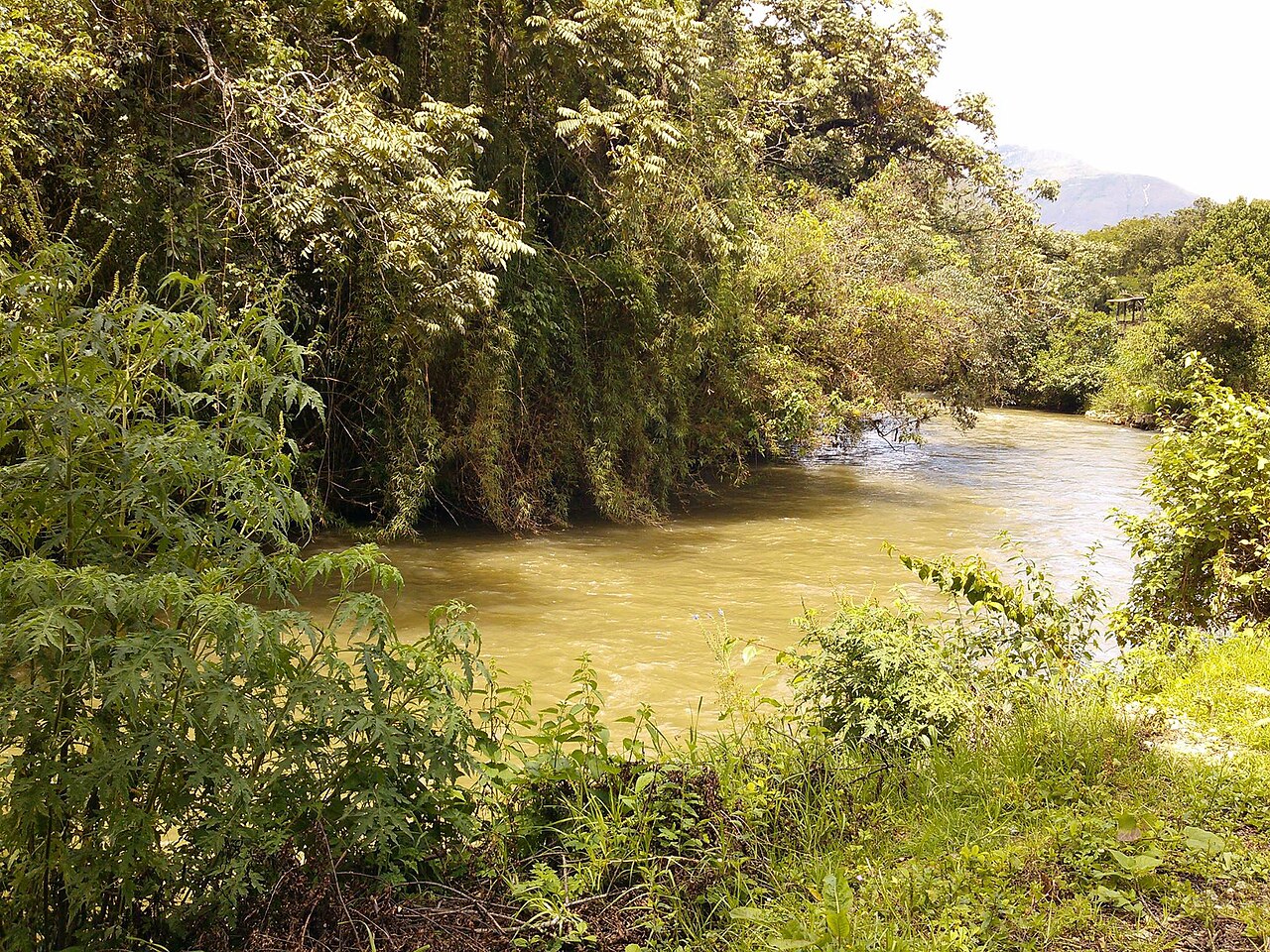Foto de Chachapoyas → Leymebamba por el valle del Utcubamba (3)