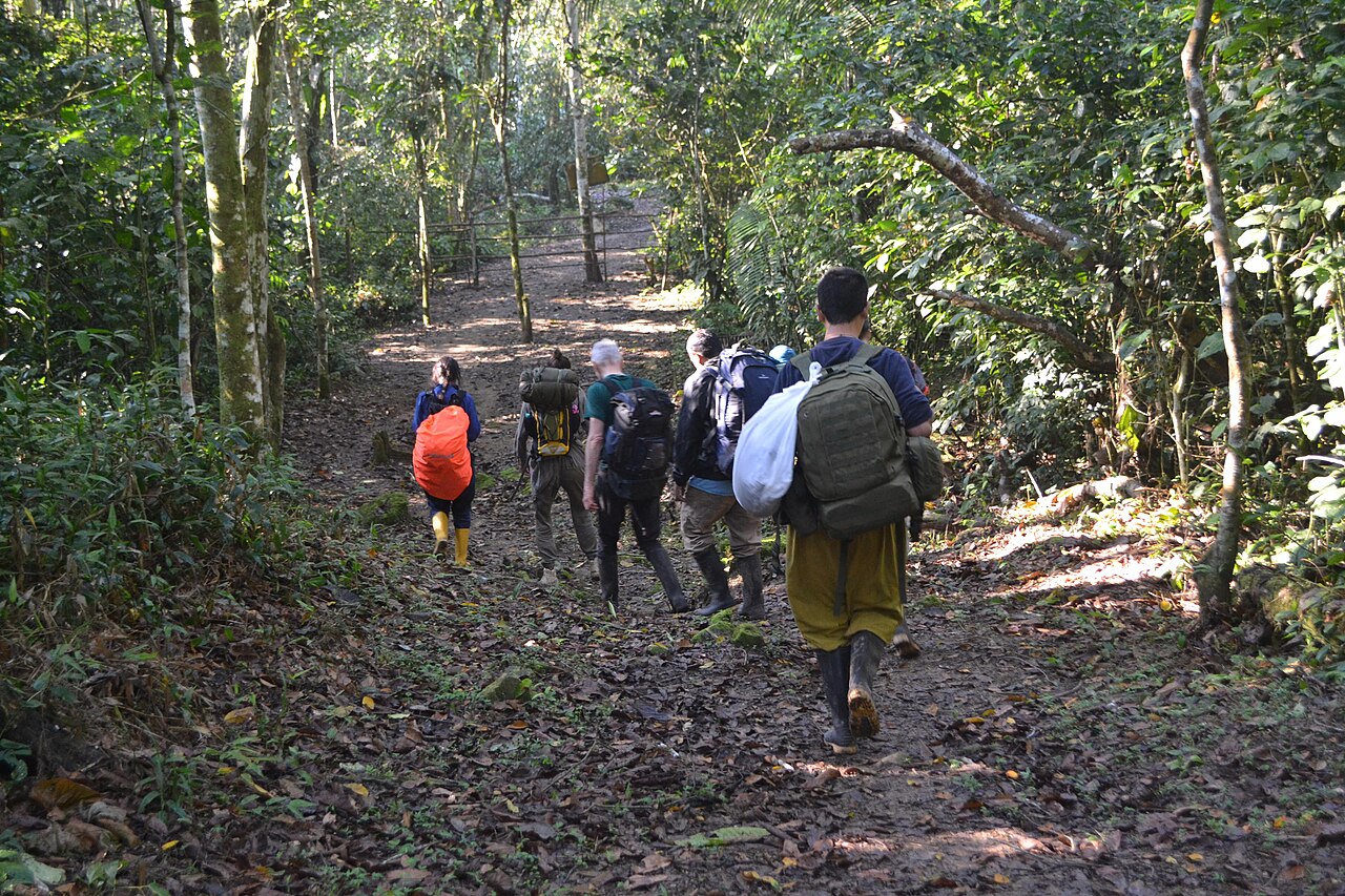 Tarapoto → Yurimaguas por la Cordillera Escalera