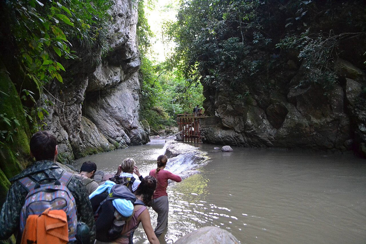 Photo of Tarapoto → Yurimaguas por la Cordillera Escalera (3)