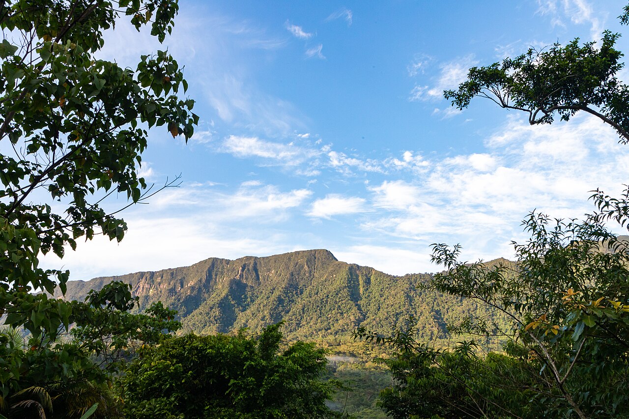 Photo of Tarapoto → Yurimaguas por la Cordillera Escalera (5)