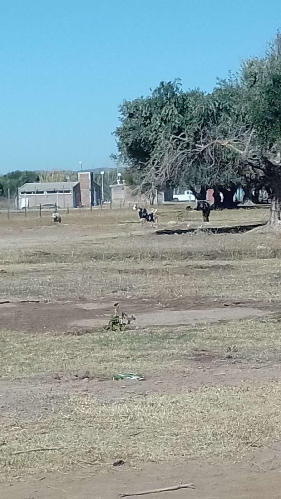 Camping granja y hospedaje El Tata .