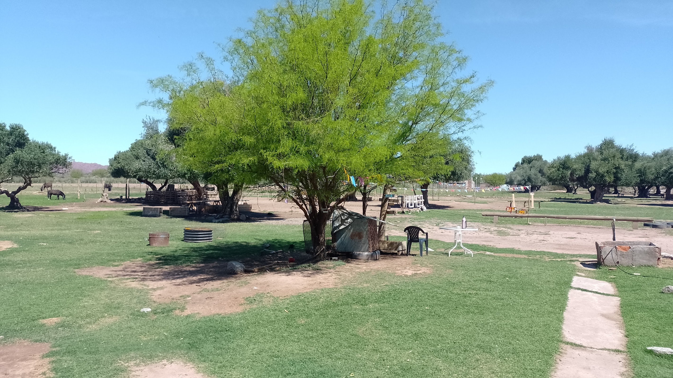 Foto de Camping granja y hospedaje El Tata . (2)