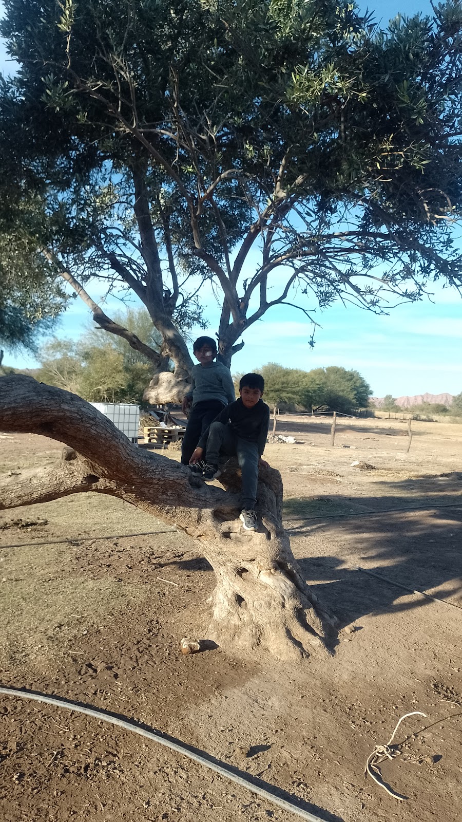 Foto de Camping granja y hospedaje El Tata . (3)
