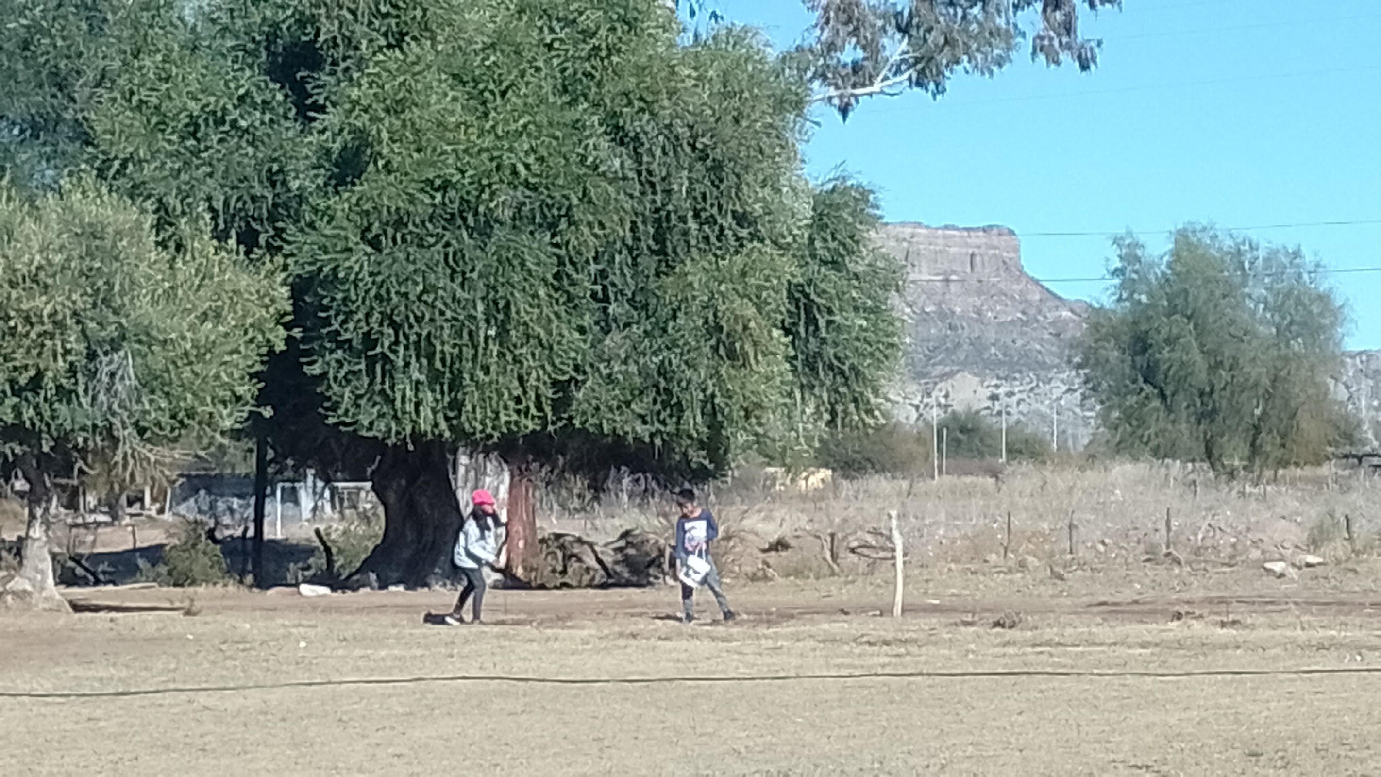 Foto de Camping granja y hospedaje El Tata . (4)