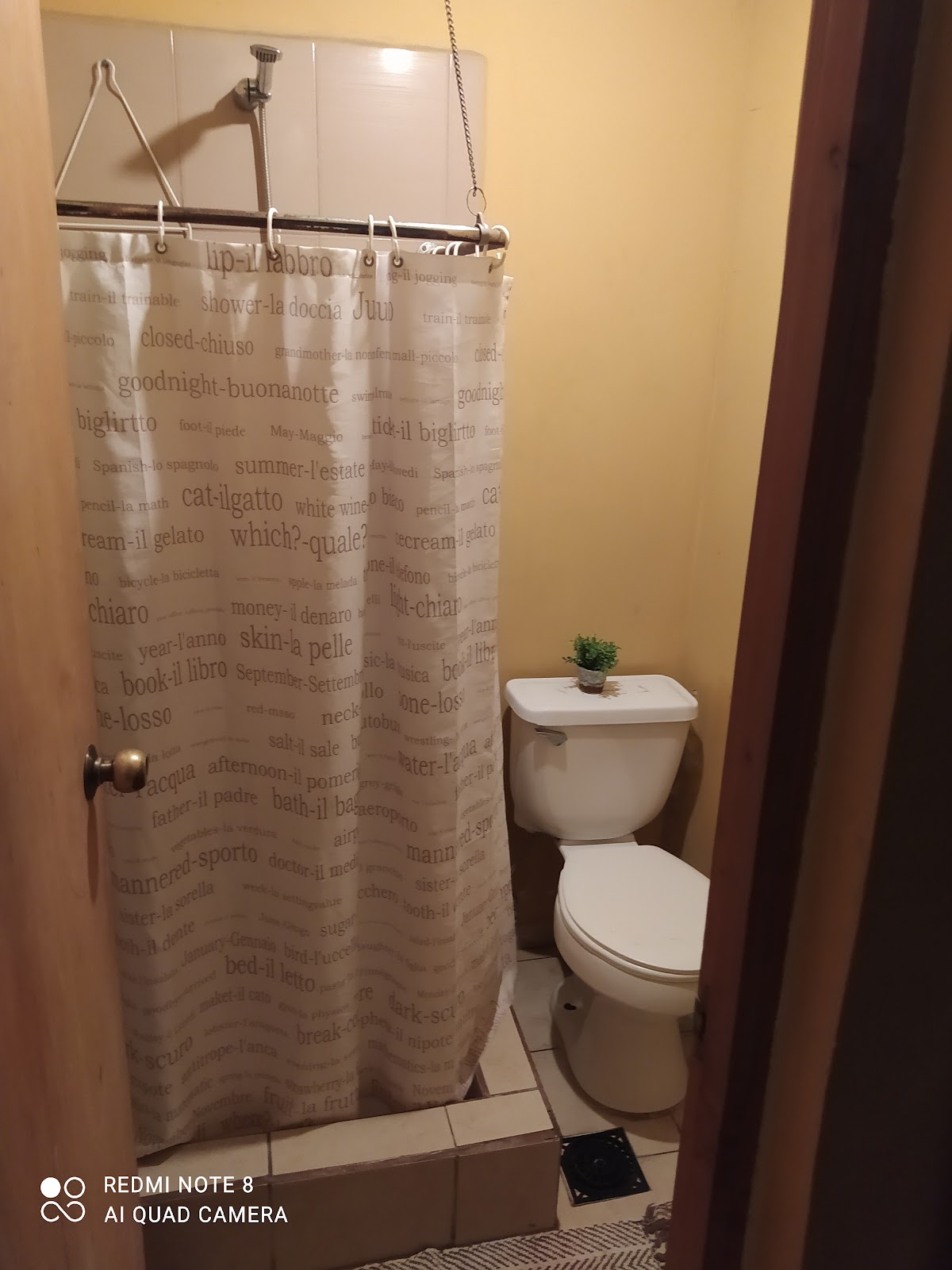 Foto de Hostal El Cactus (3)