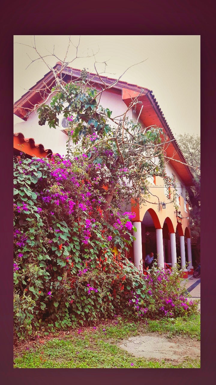 Hosteria Amancay