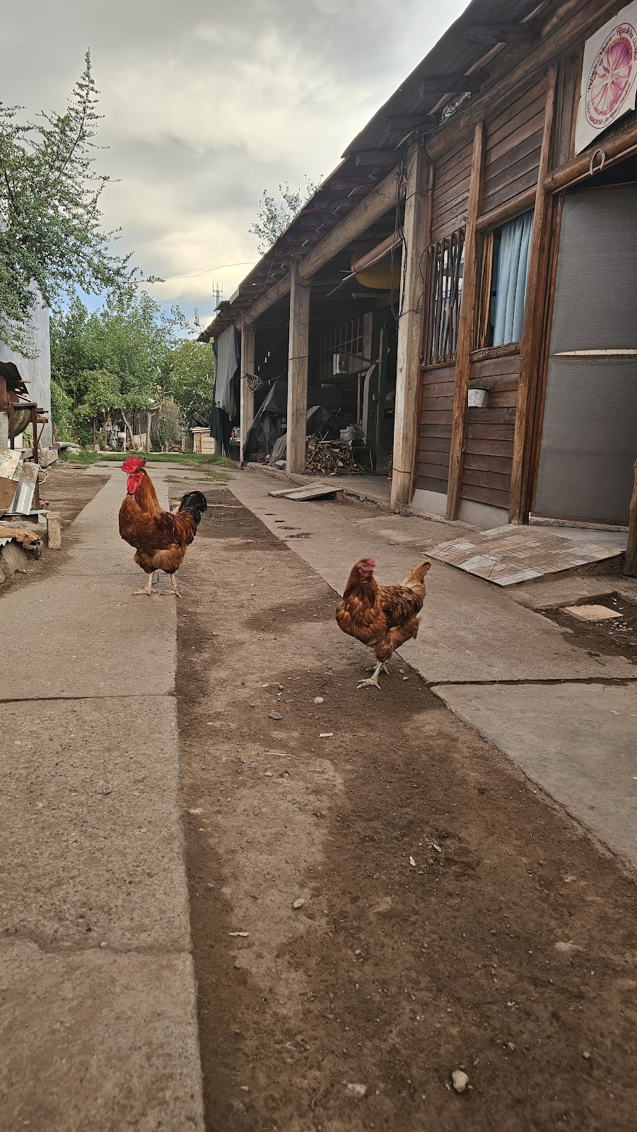 Foto de MotoRefugio Rosa de los Vientos (5)