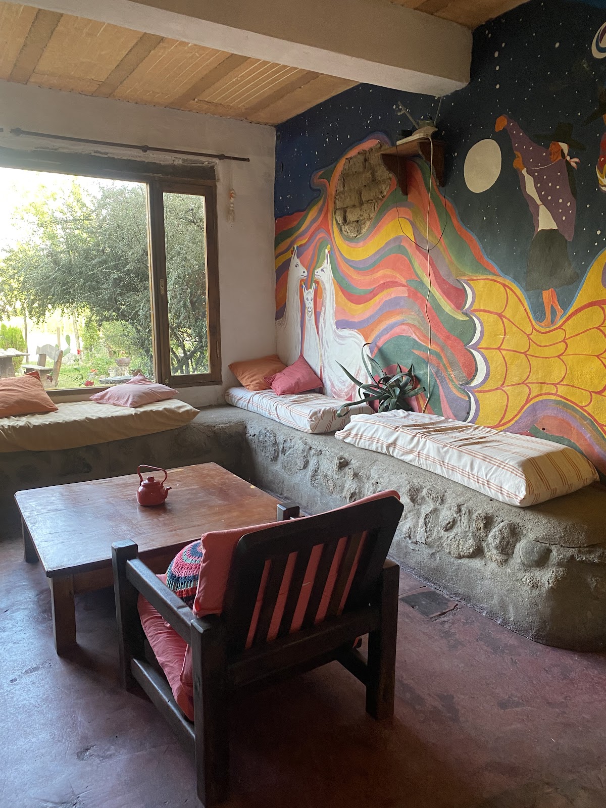Foto de Casita Alpiste Comiste (5)