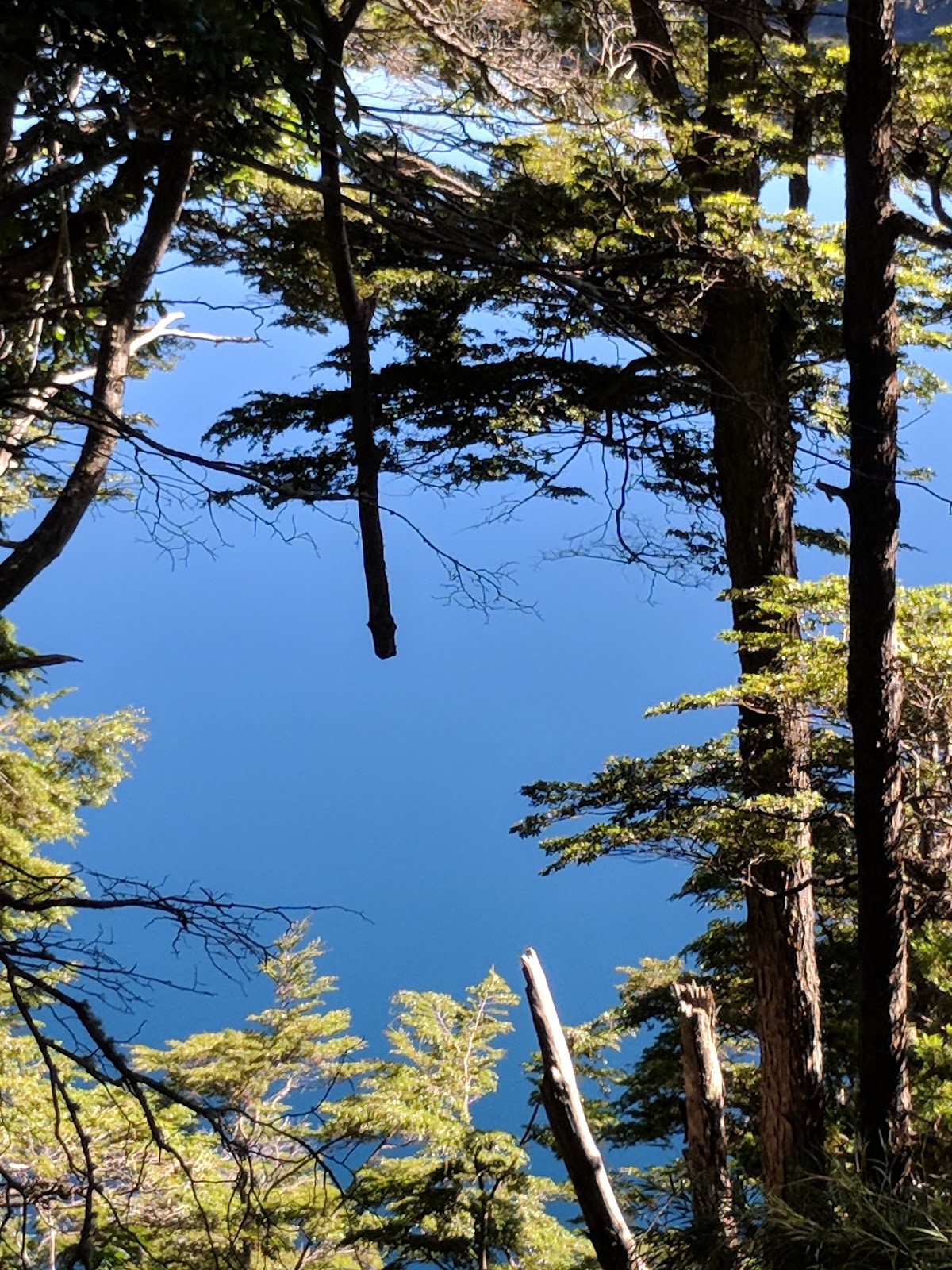 Foto de ...Mirador Lago Espejo (4)