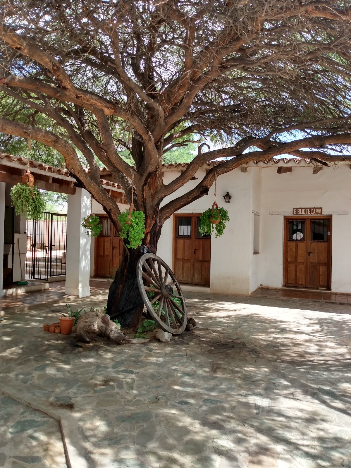Foto de San Carlos (4)