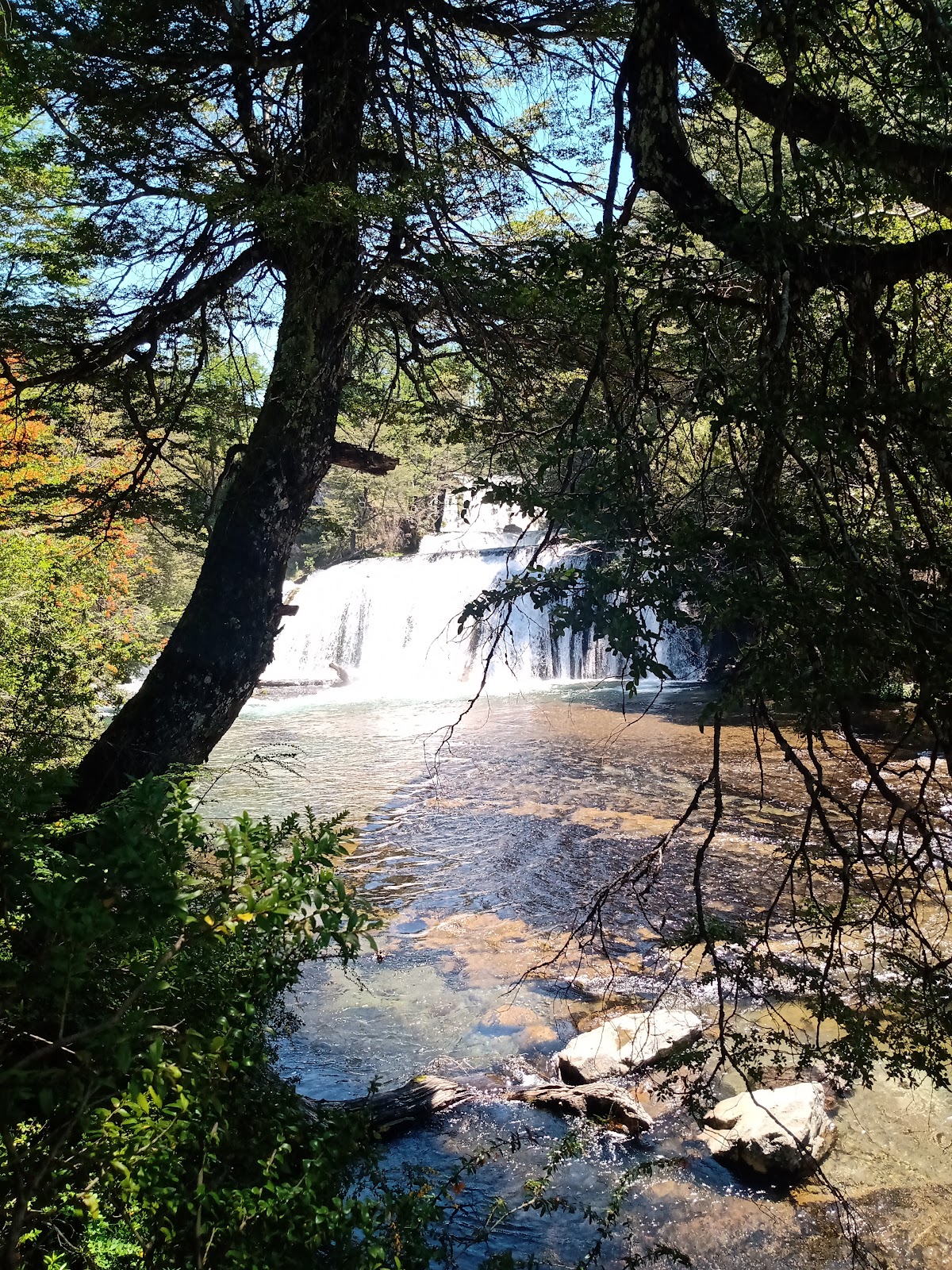Foto de Cascadas Ñivinco (3)