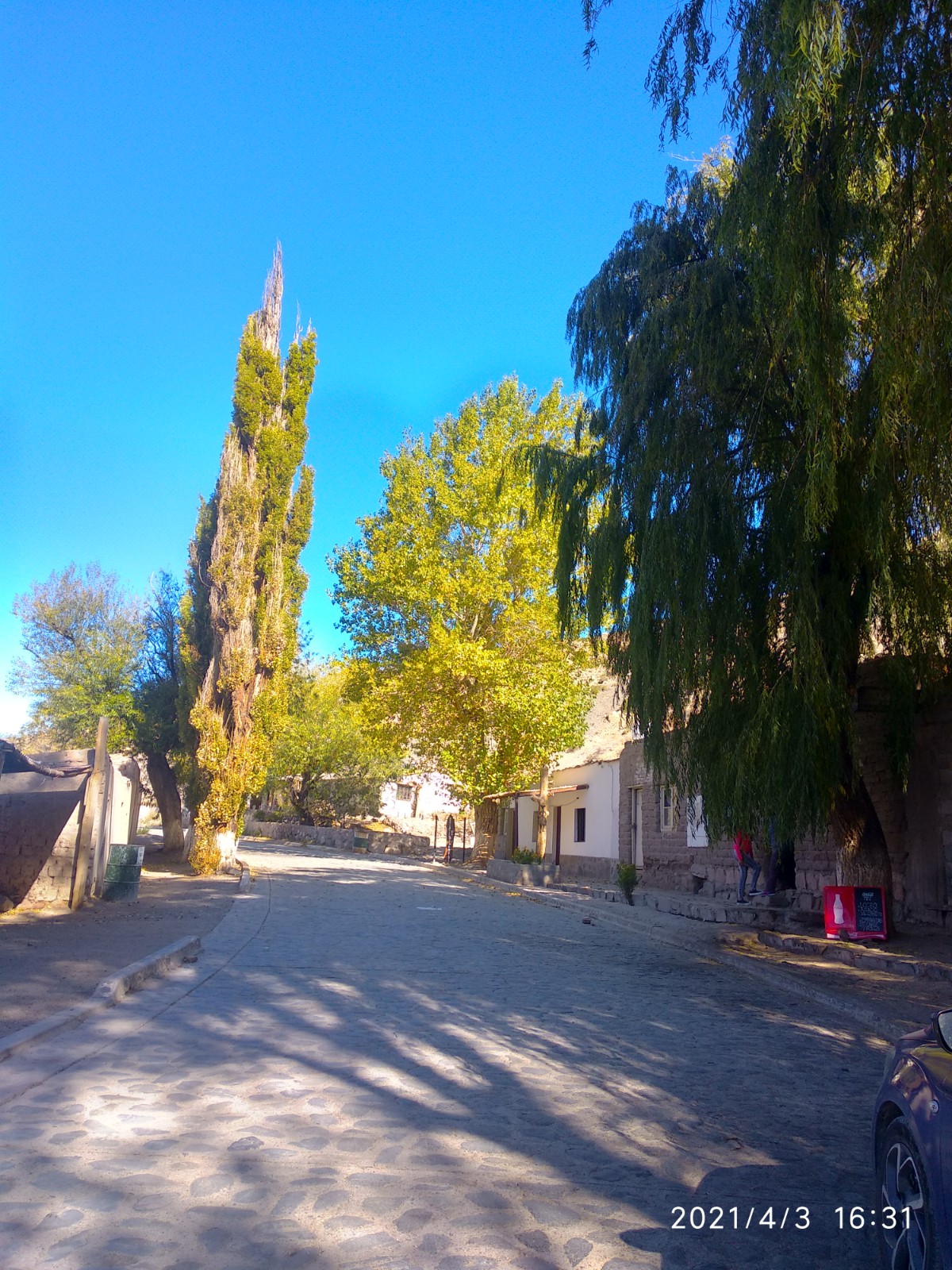 Foto de Santa Rosa de Tastil (3)