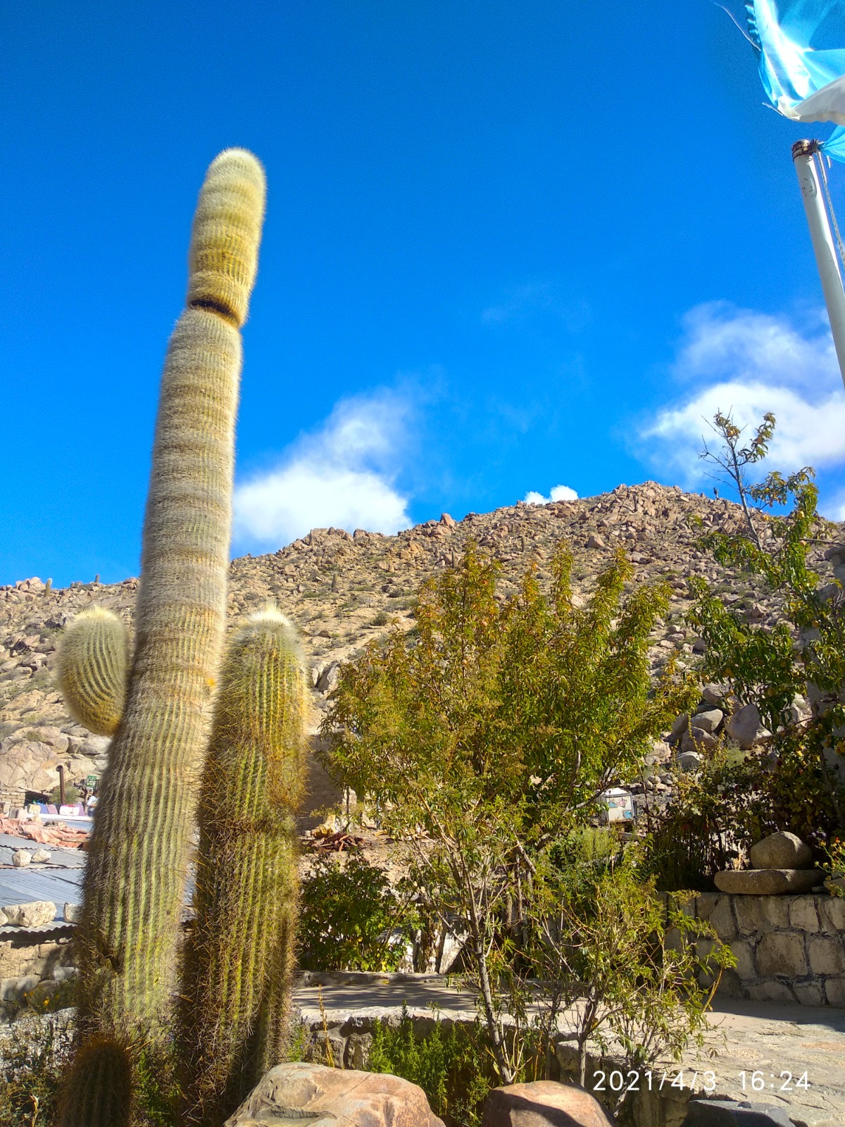 Foto de Santa Rosa de Tastil (5)