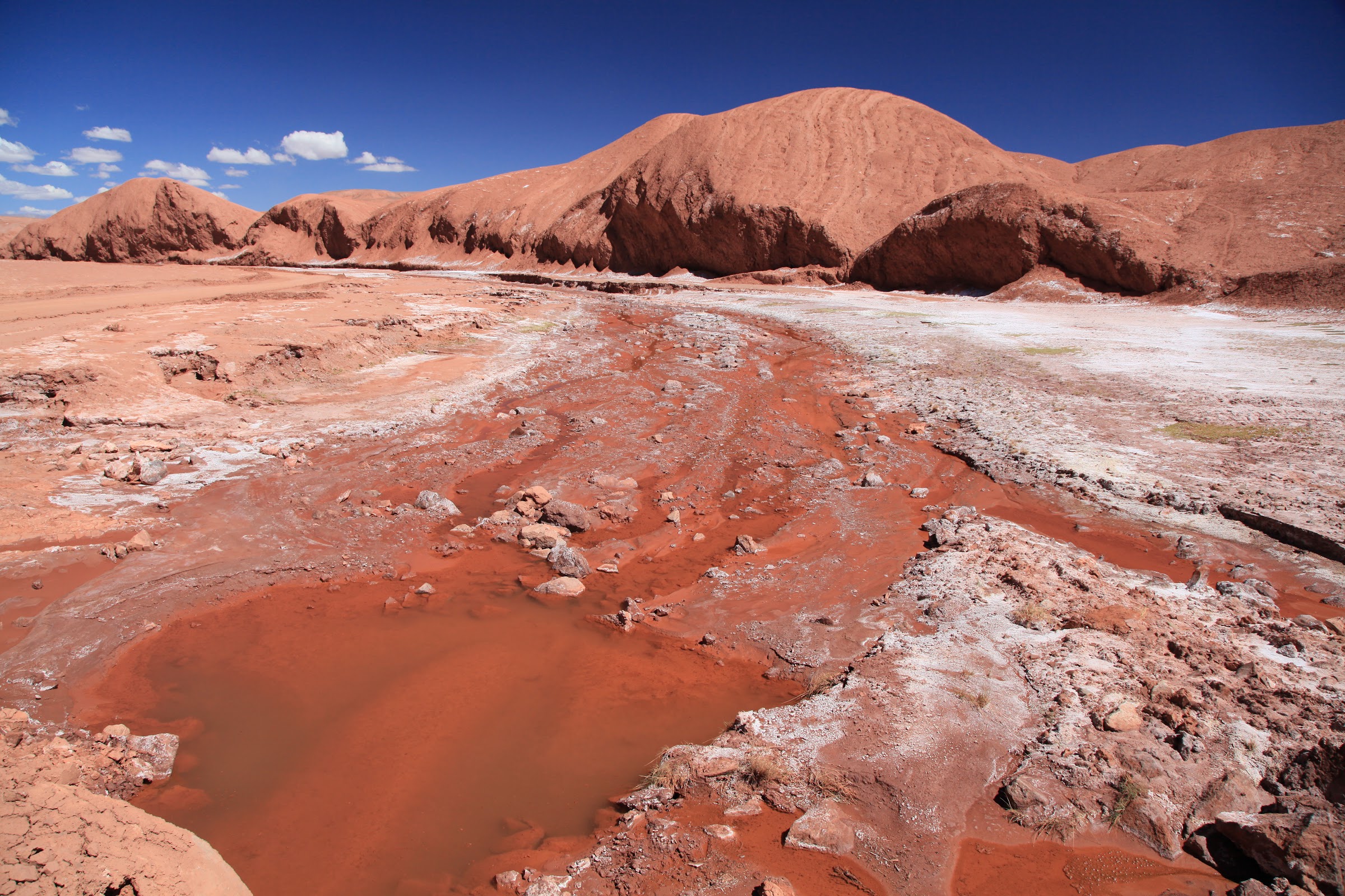 Photo of Laguna Pastos Grandes (5)