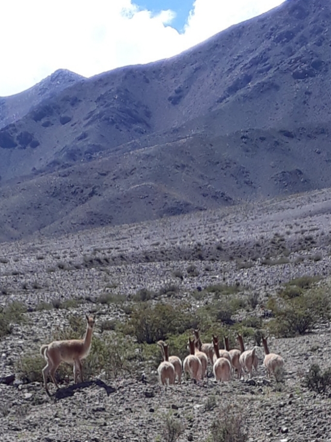 Foto de Quebrada Las Angosturas (4)