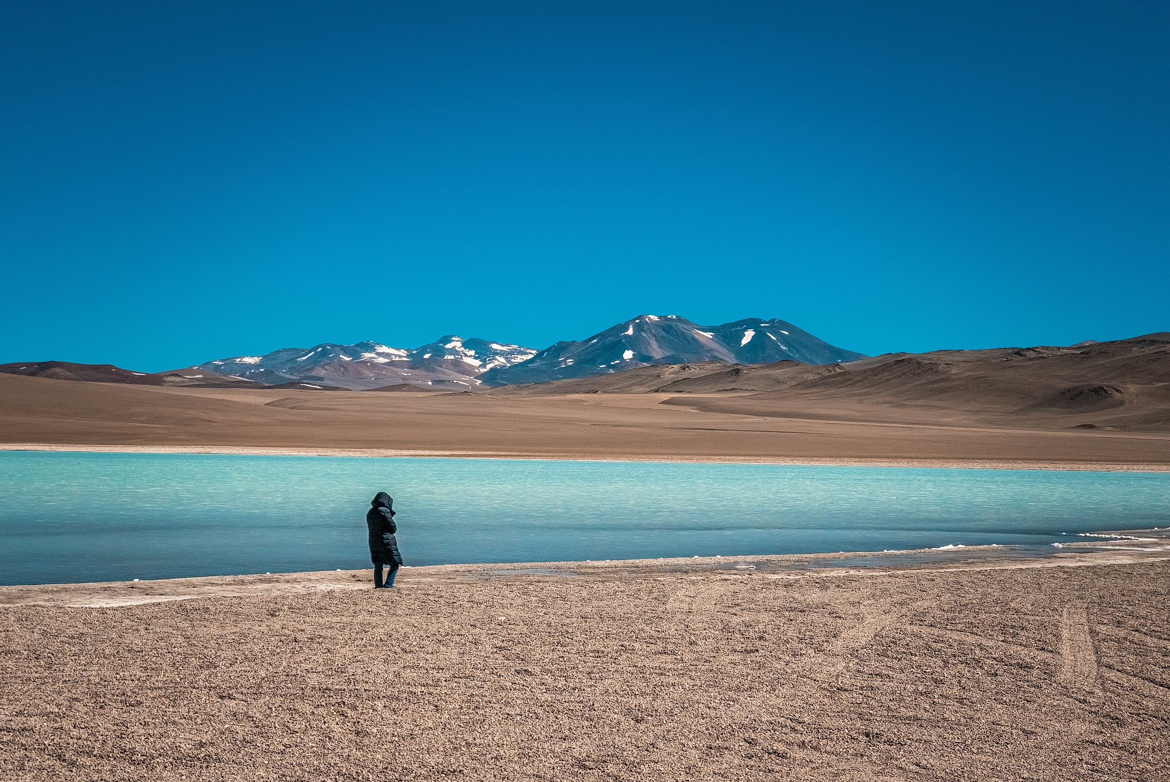 Foto de Laguna Cortaderas (2)