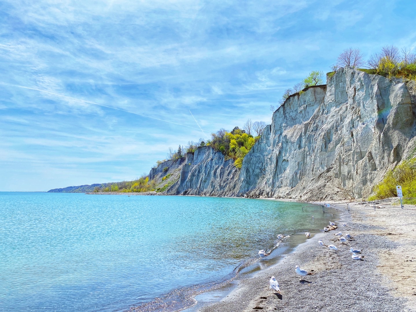 Foto de Scarborough Bluffs (2)