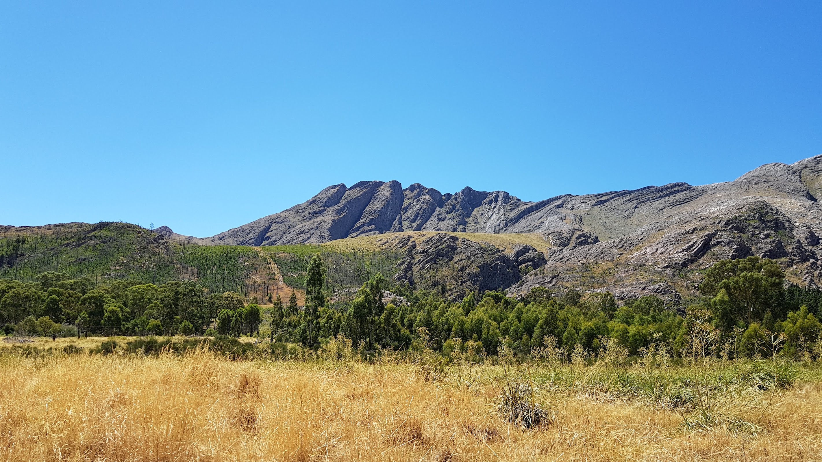 Foto de Cerro Ventana (2)