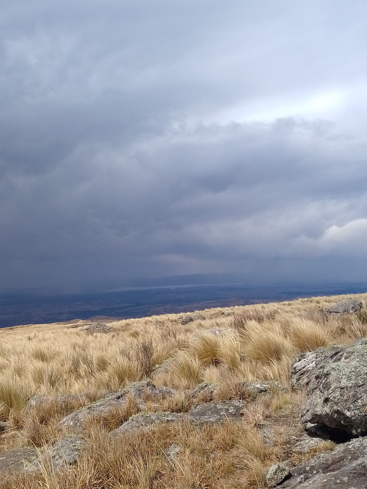 Foto de Parque Nacional Quebrada del Condorito (2)