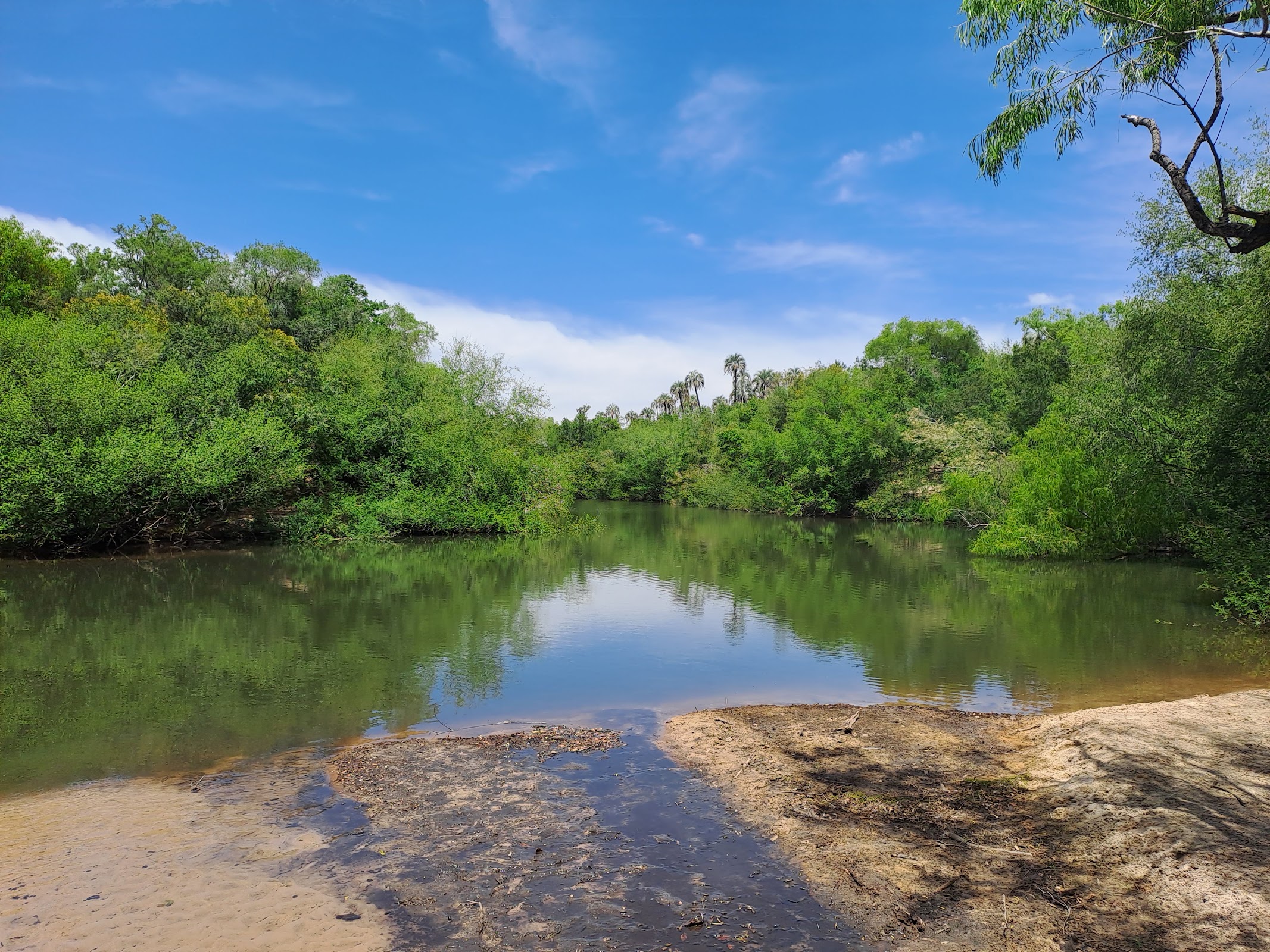 Foto de Parque Nacional El Palmar (4)
