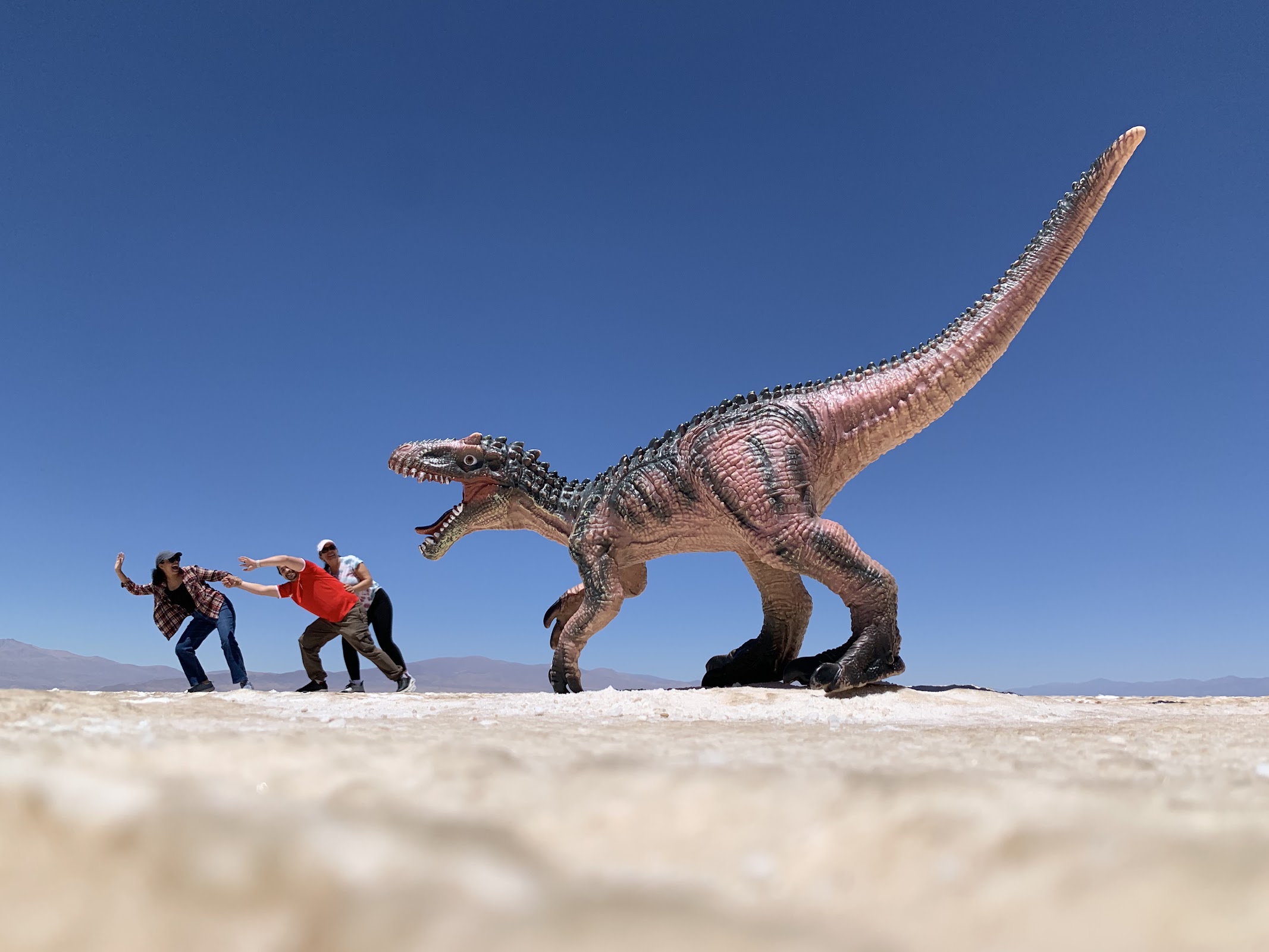 Photo of Salinas Grandes (5)