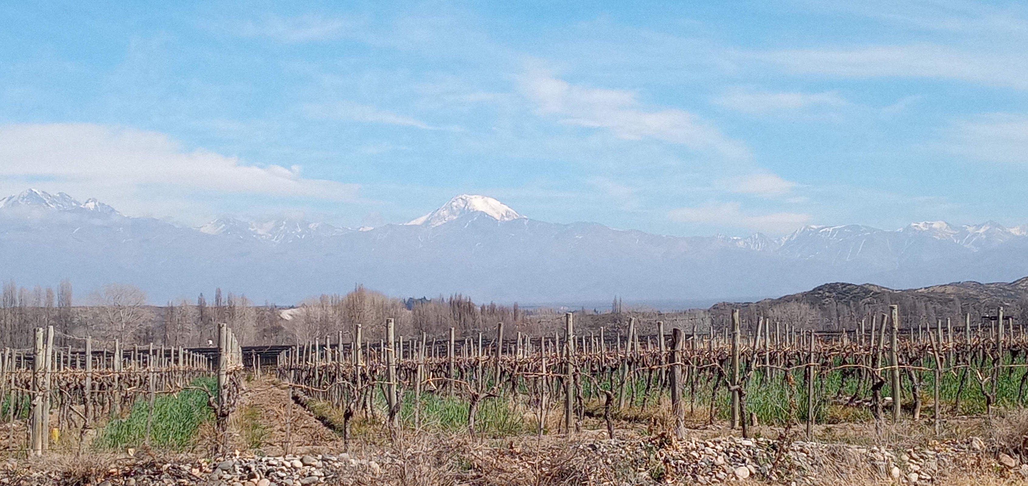 Cerro Tupungato
