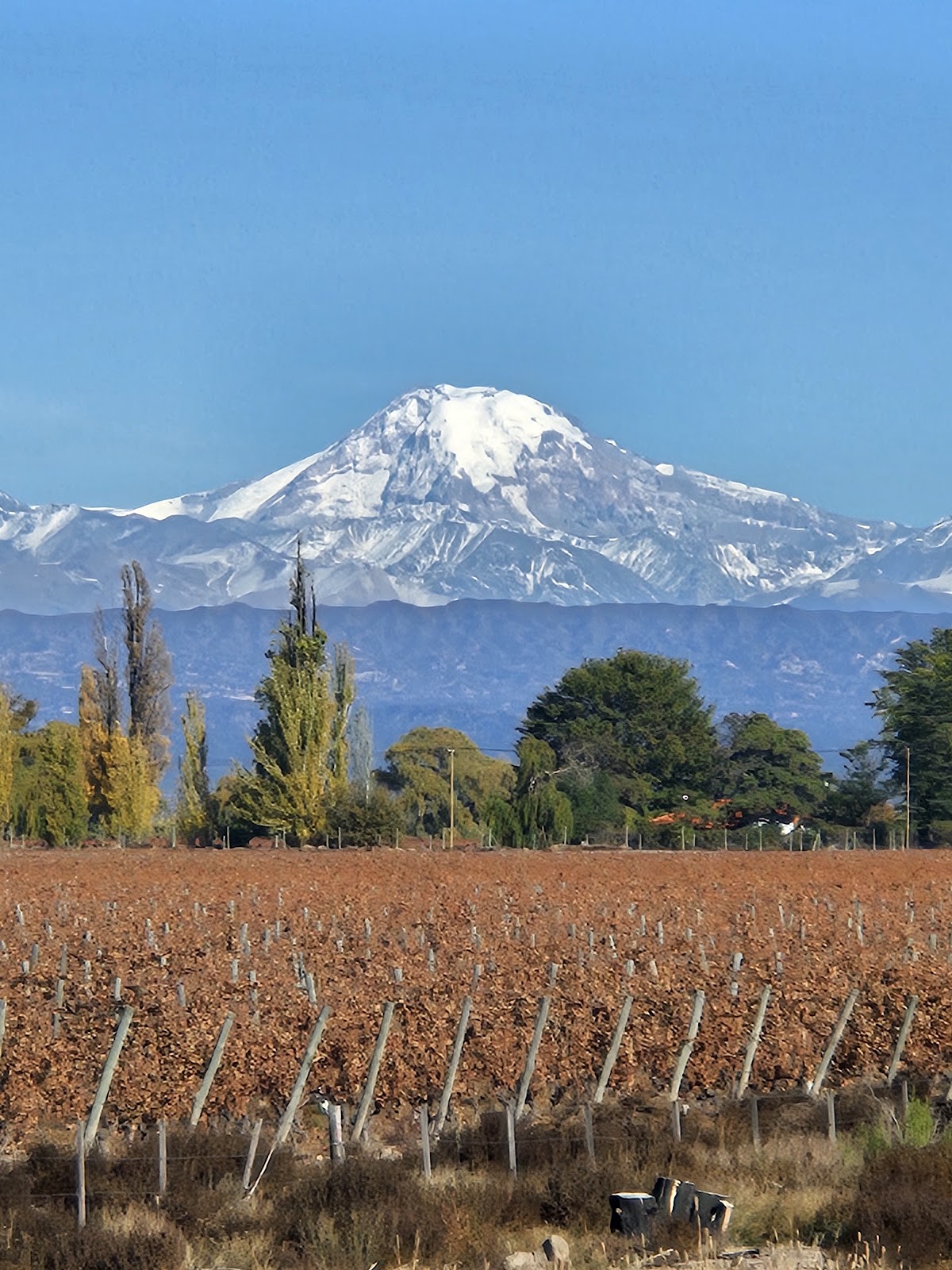 Foto de Cerro Tupungato (3)