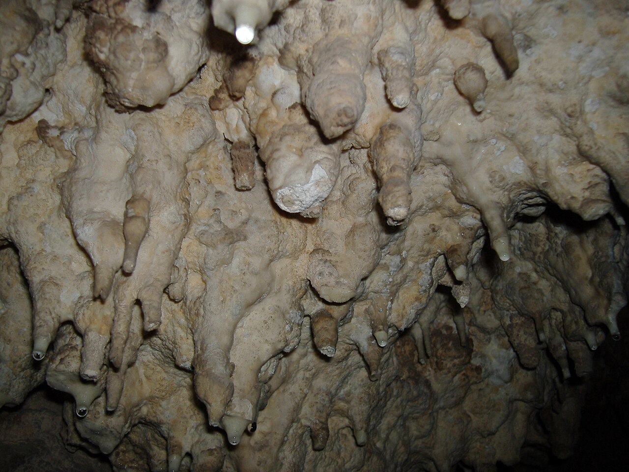 Caverna de las Brujas