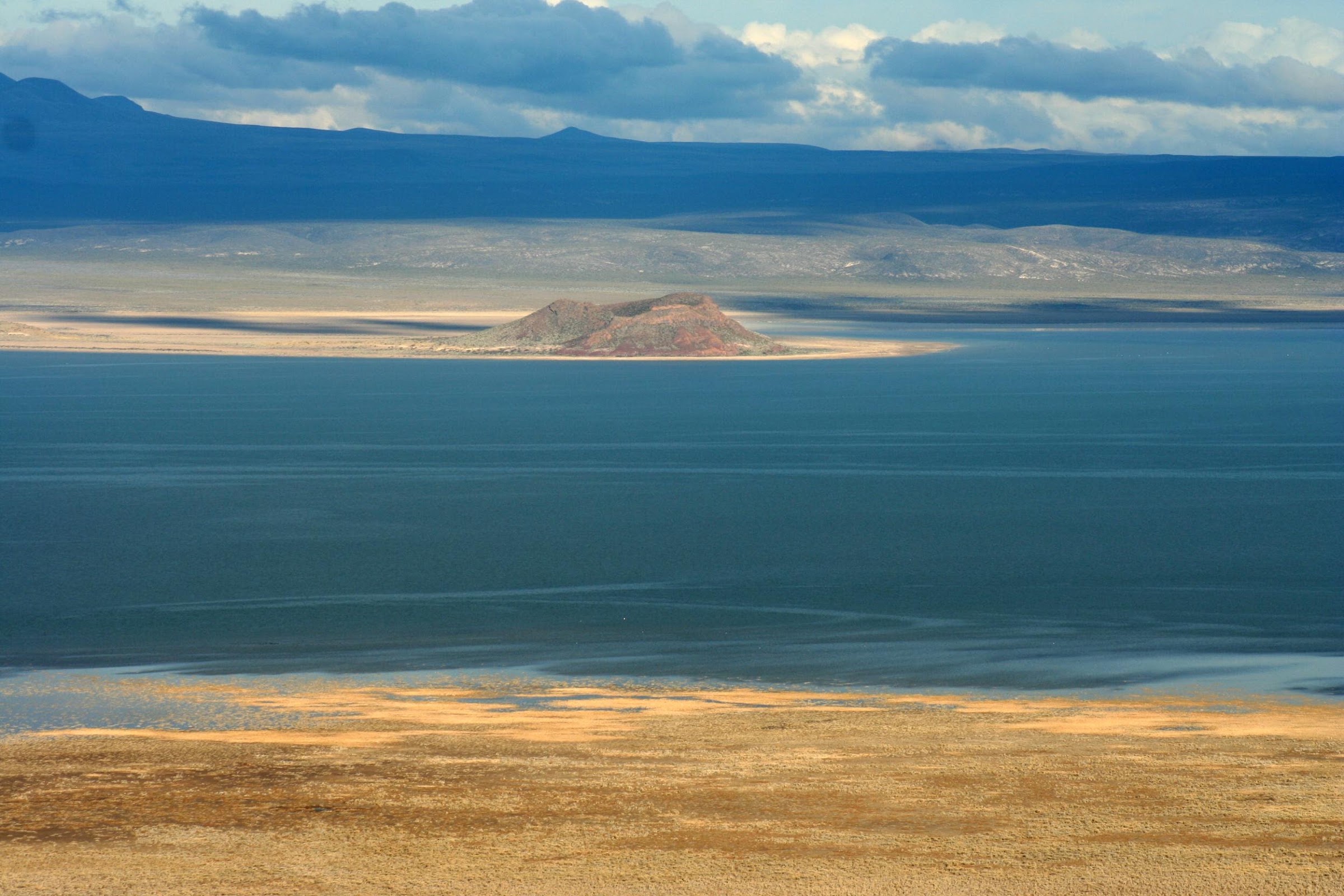 Foto de Laguna de Llancanelo (4)