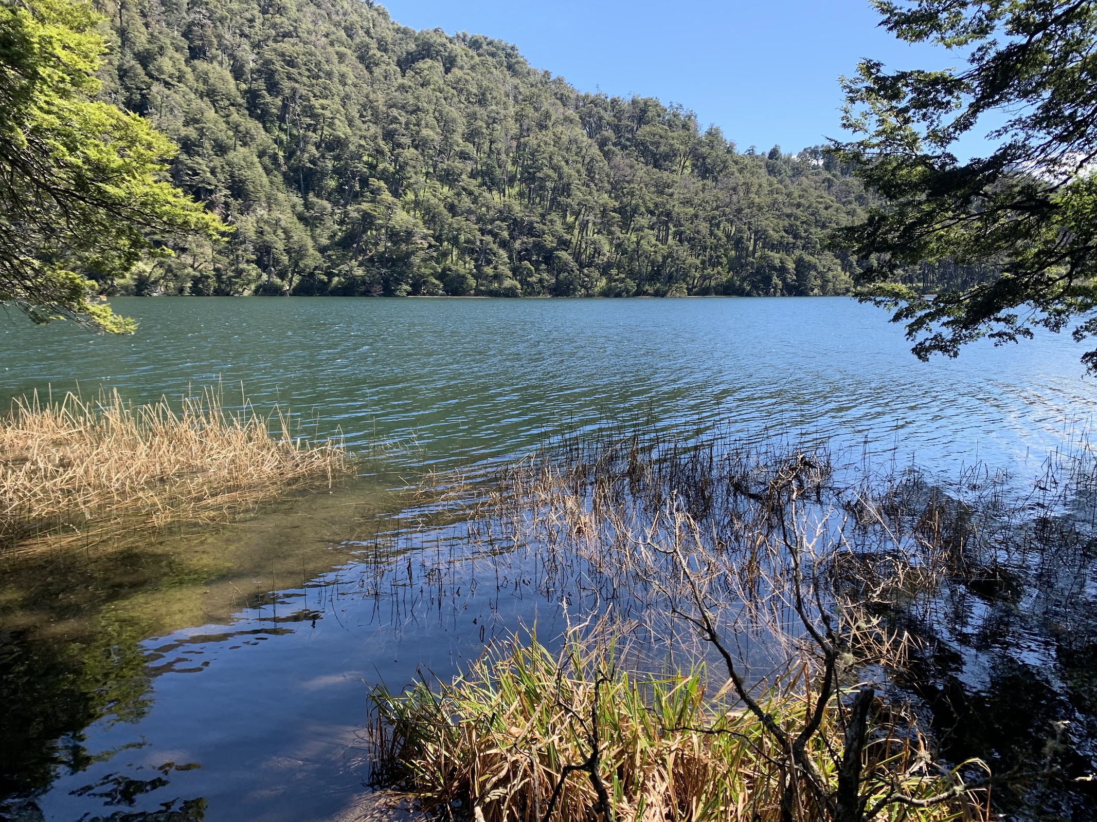 Foto de Lago Escondido (2)