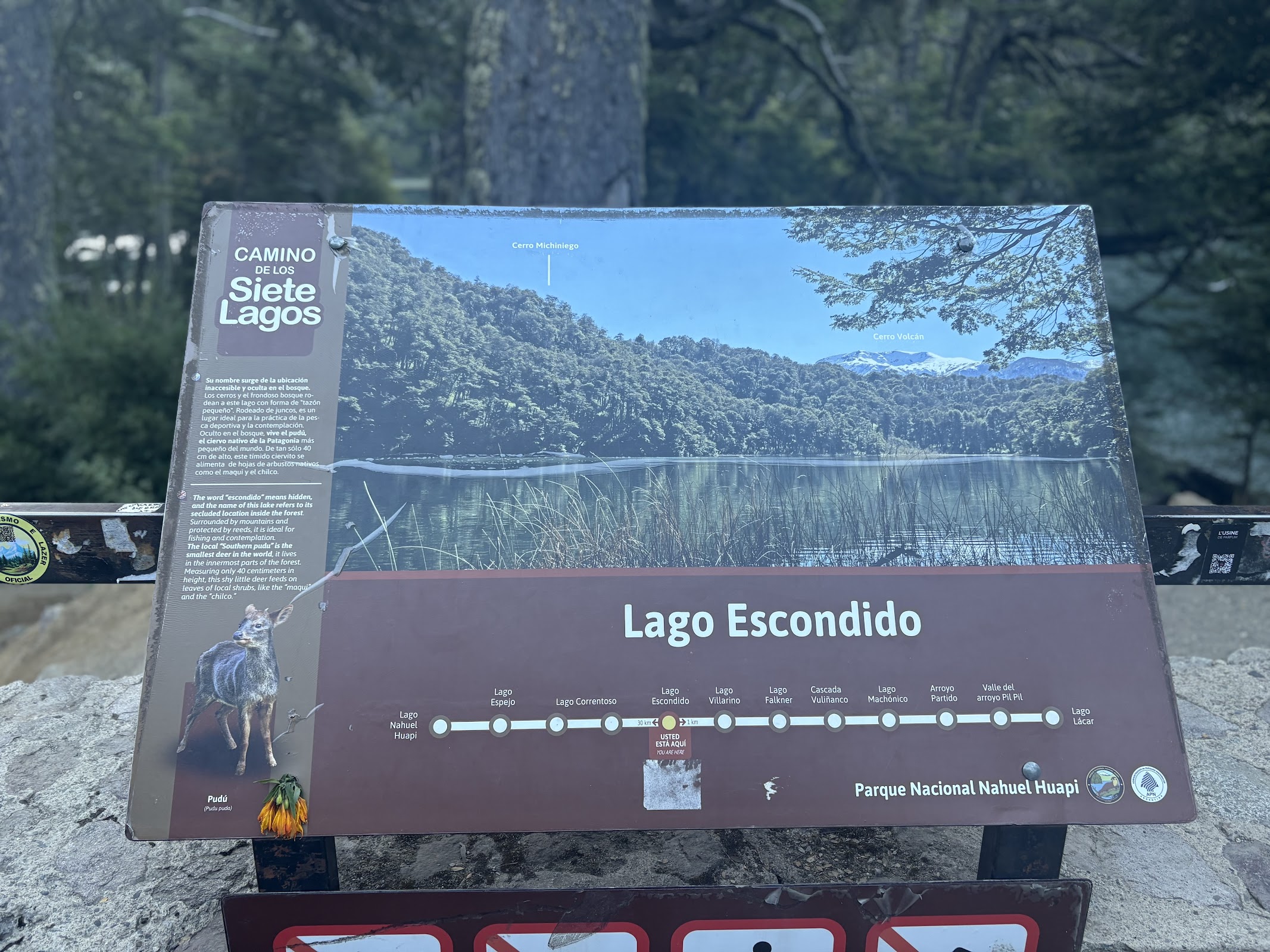 Foto de Lago Escondido (3)