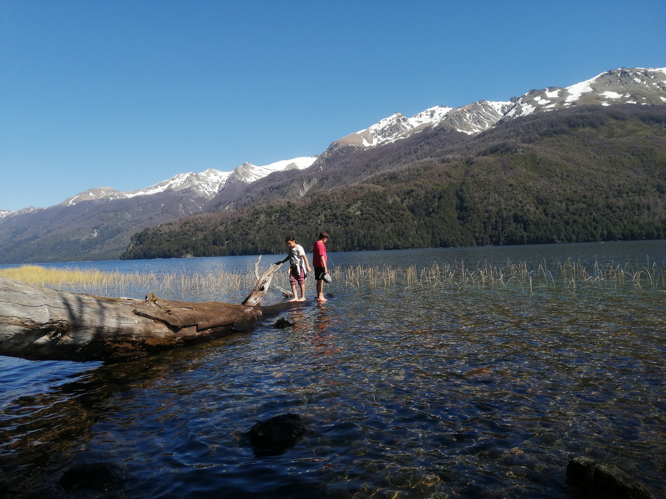 Foto de Lago Falkner (4)