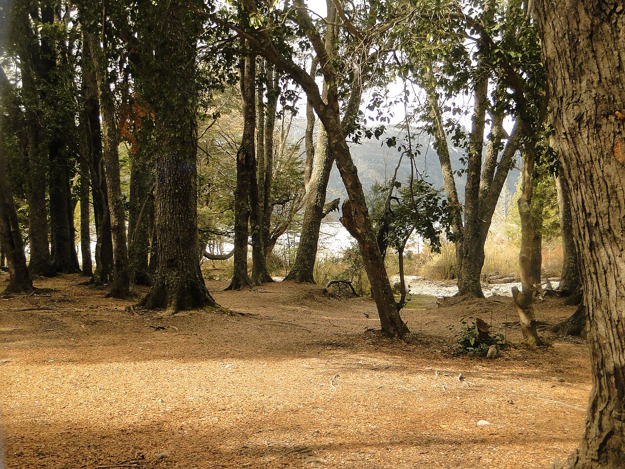 Lago Traful