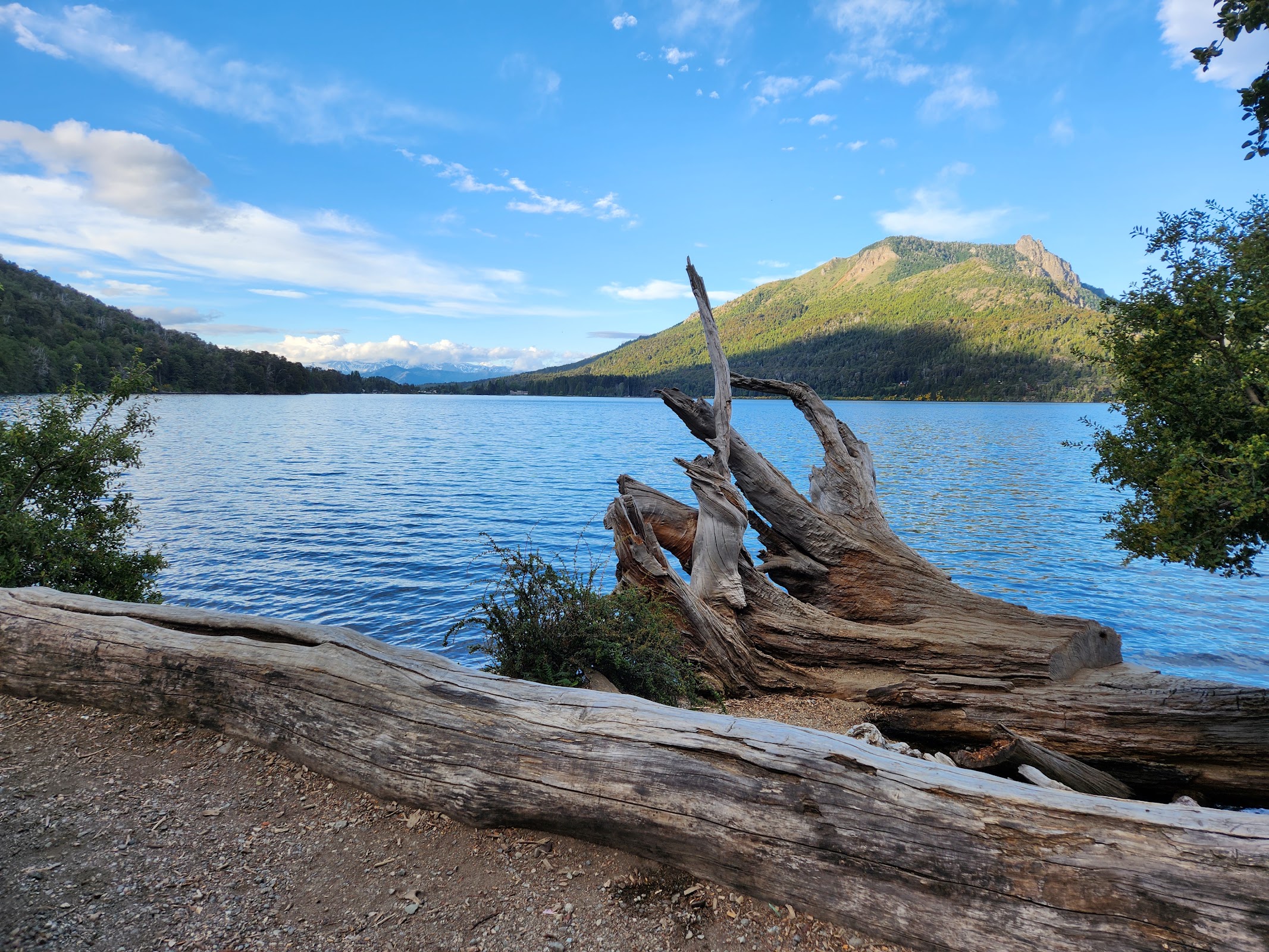 Foto de Lago Gutierrez (5)