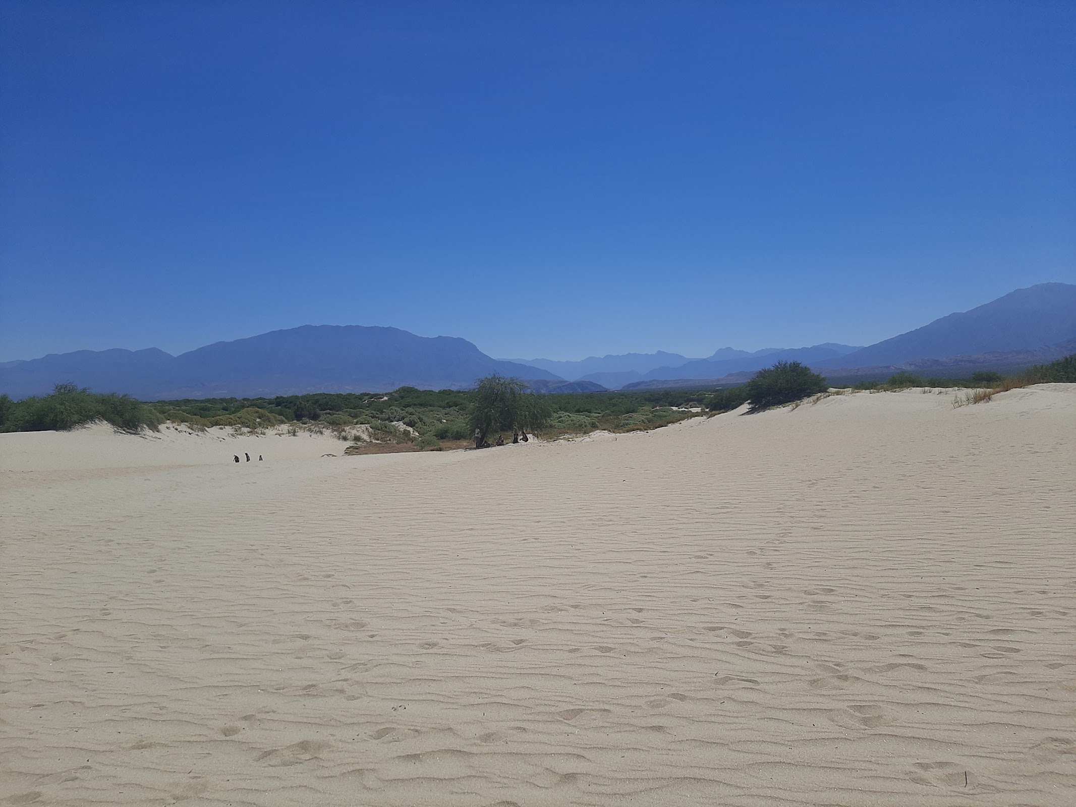 Los Medanos de Cafayate