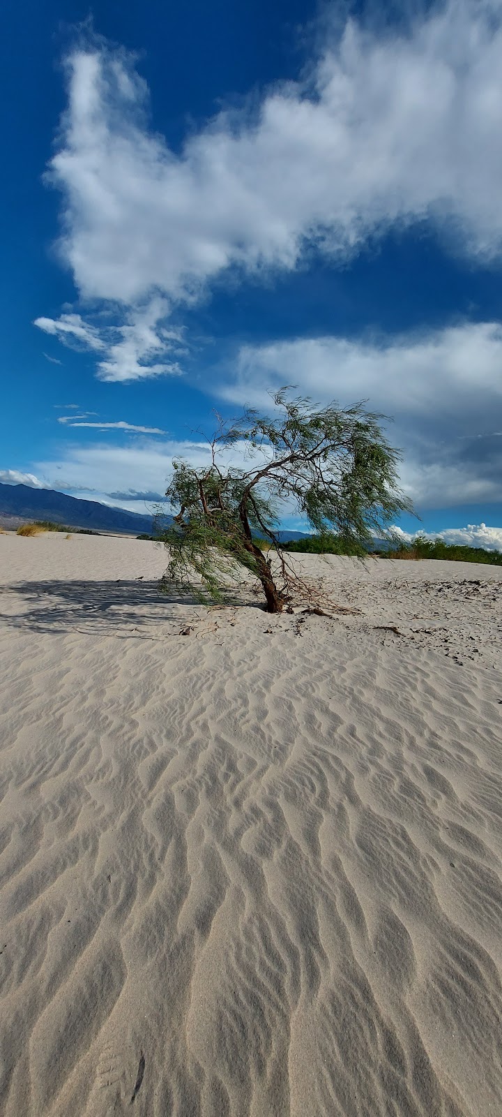 Foto de Los Medanos de Cafayate (4)