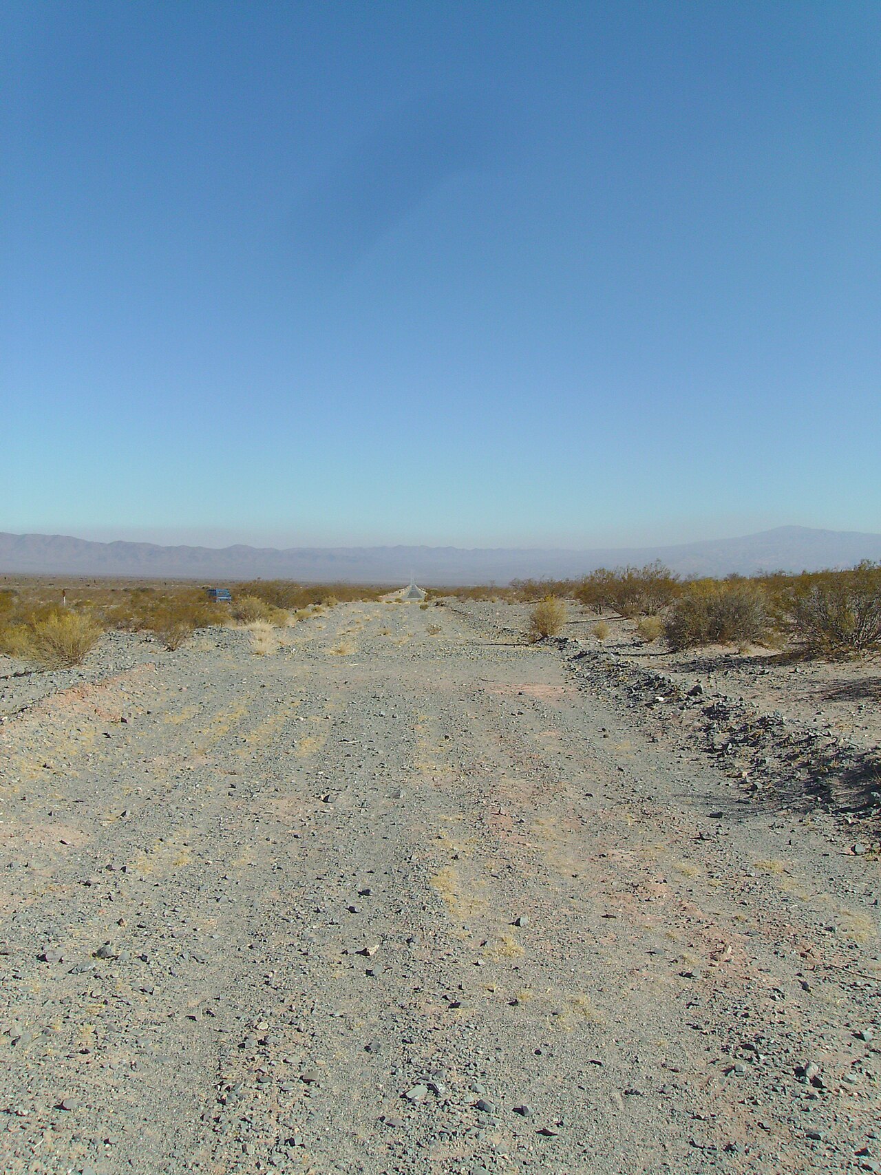 Parque Nacional Los Cardones