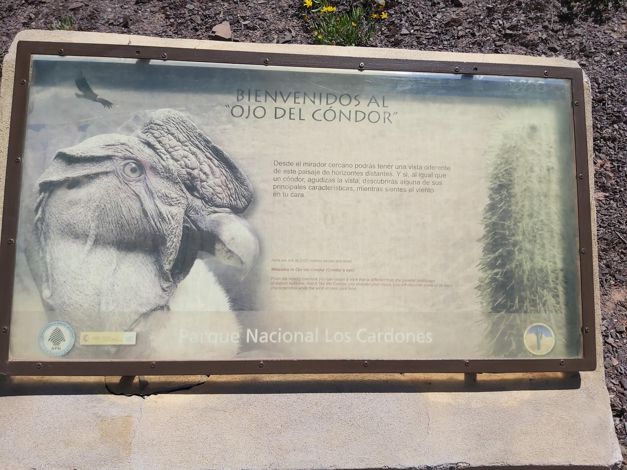 Foto de Mirador Ojo del Condor (3)
