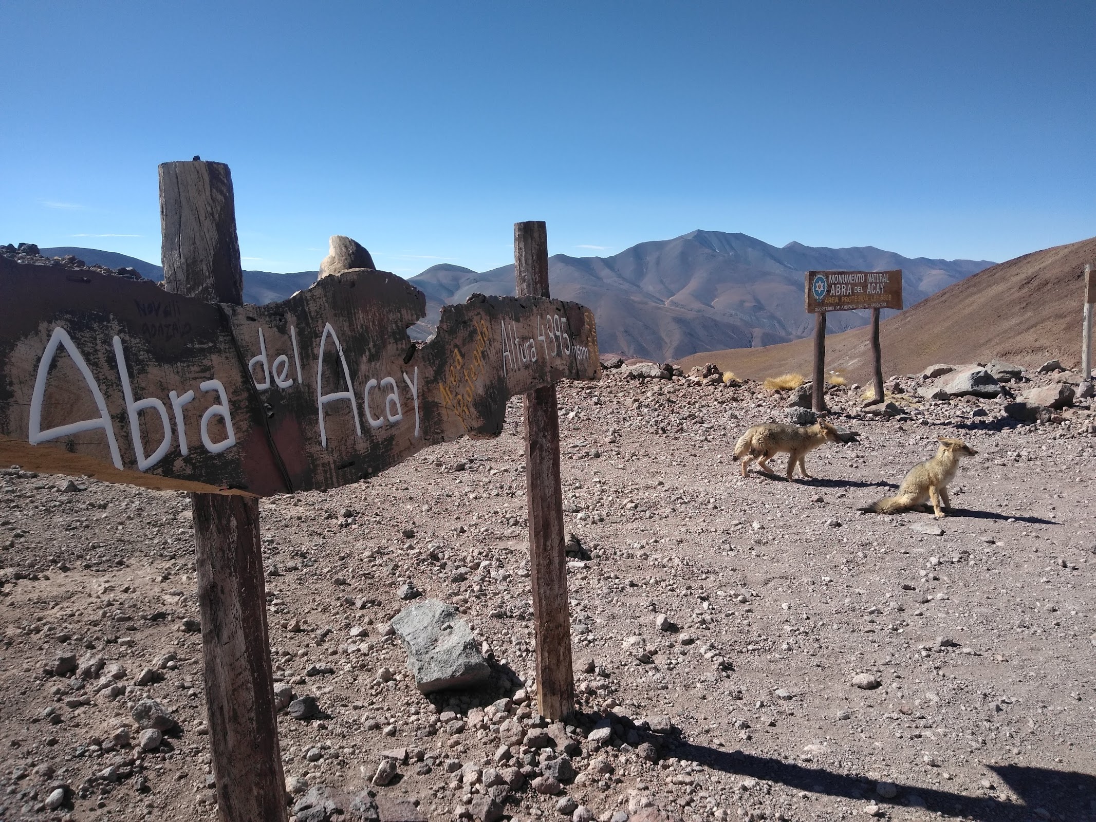 Abra del Acay