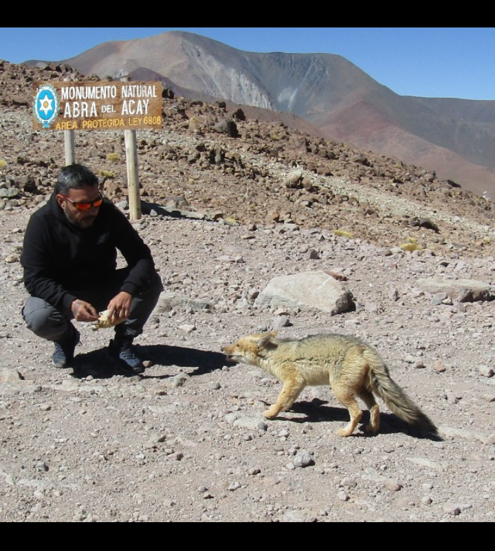 Foto de Abra del Acay (5)