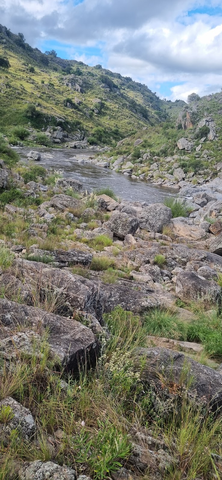 Puente Los Amigos