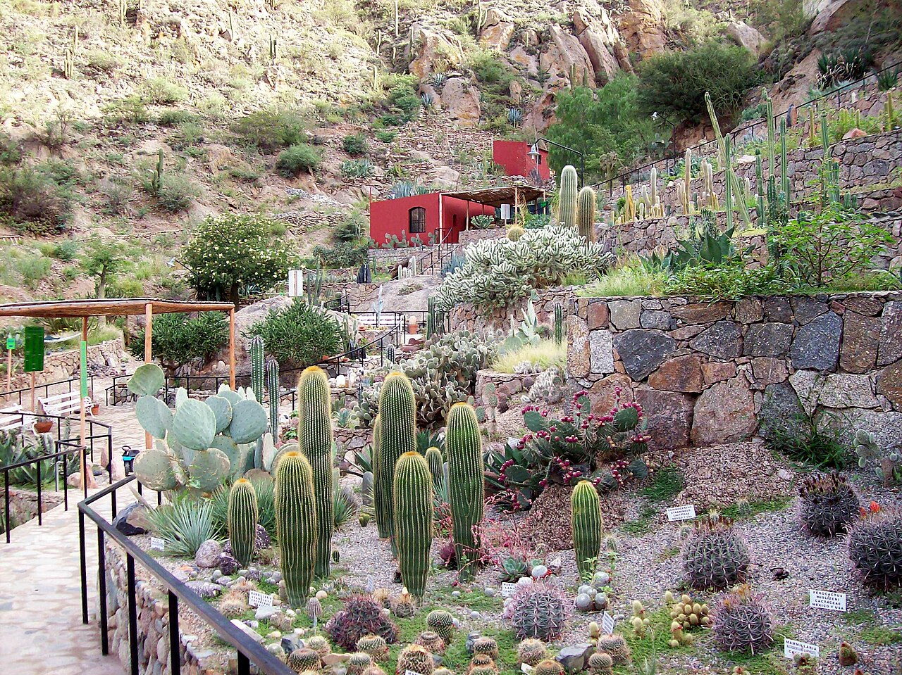 Jardín Botánico Chirau Mita