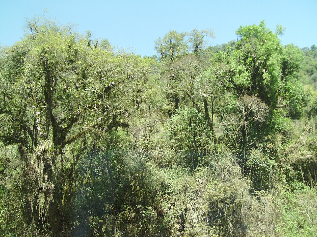 Foto de RP307: Acheral → Tafí del Valle por la Quebrada de los Sosa (5)