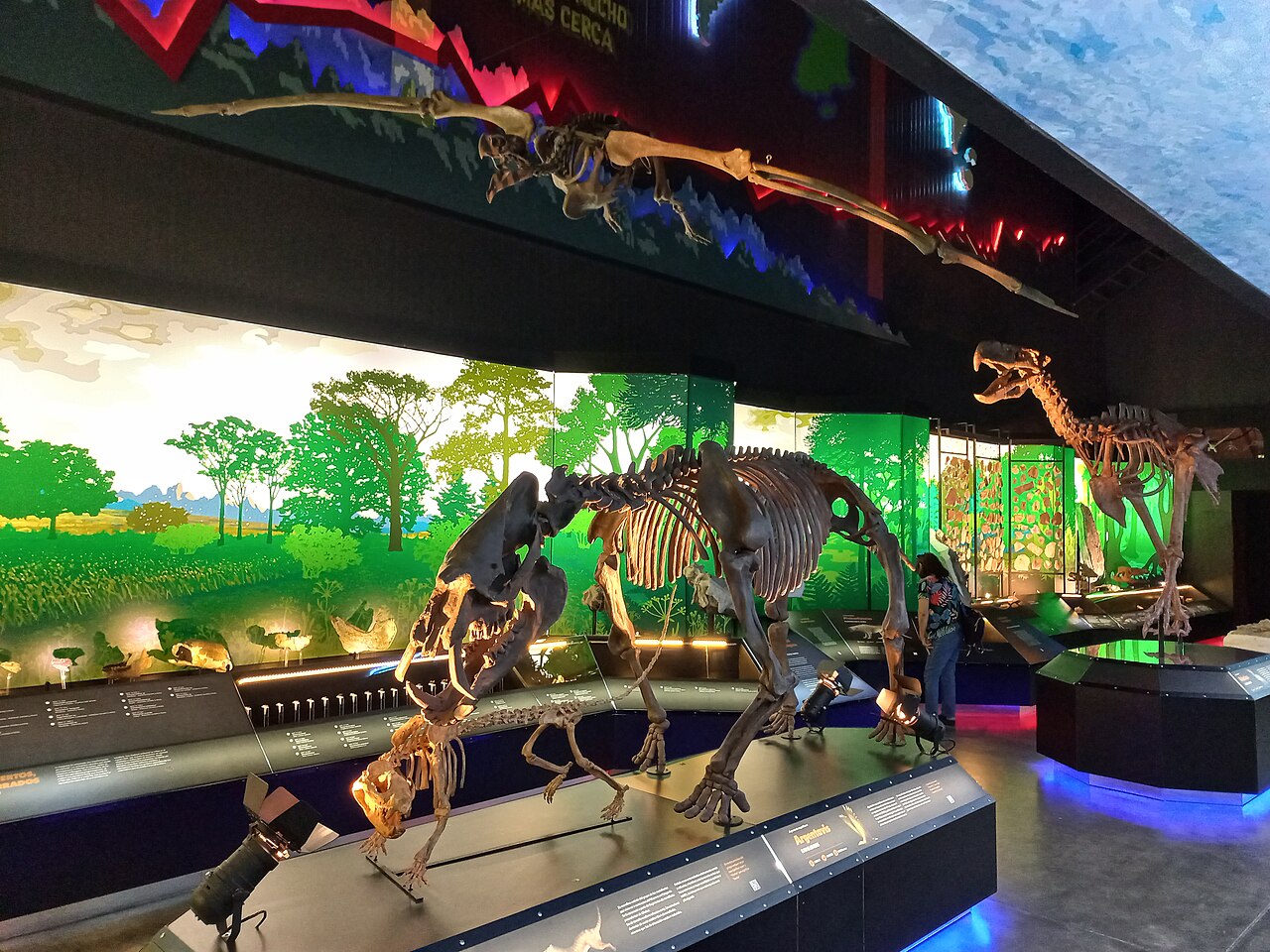 Museo Paleontológico Egidio Feruglio