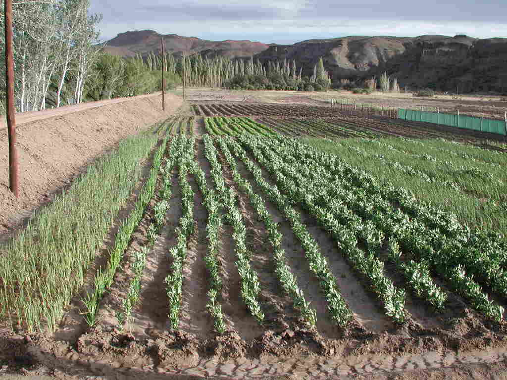 Foto de Los Altares (3)