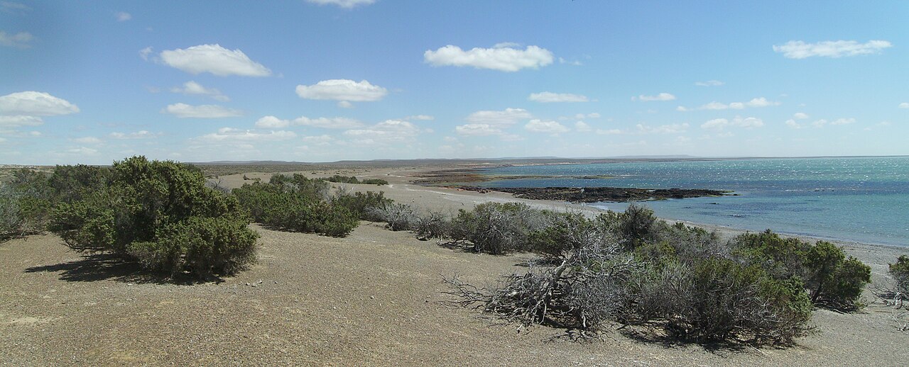Photo of Punta Tombo (3)