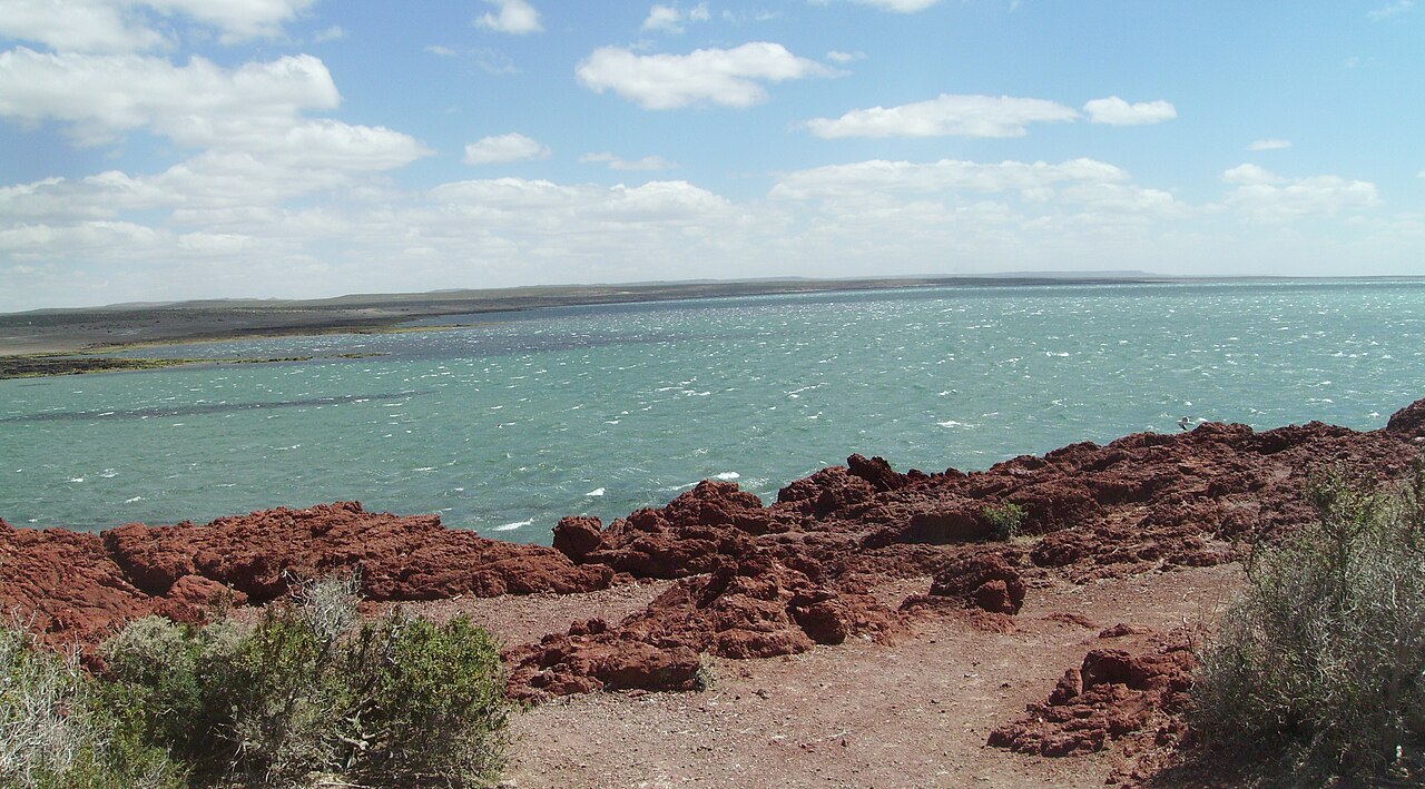 Photo of Punta Tombo (4)